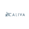 Caliva Coupon Codes - Up to 50% OFF